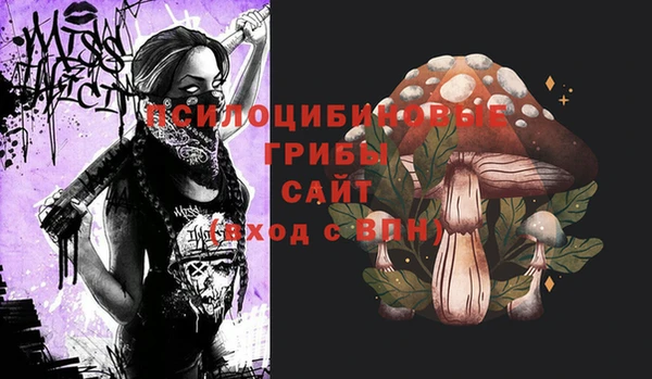 МДМА Богданович