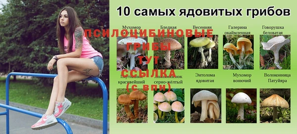 хмурый Богородск