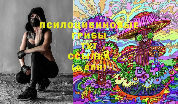 МДМА Богданович