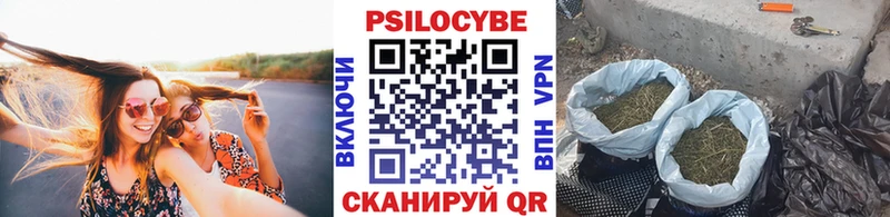Псилоцибиновые грибы Psilocybe Кедровый